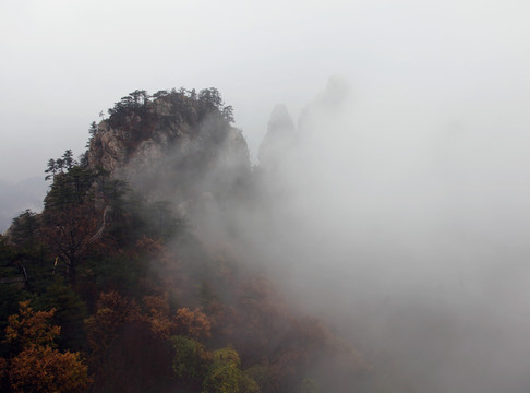 云霧繚繞的伏牛山老界嶺
