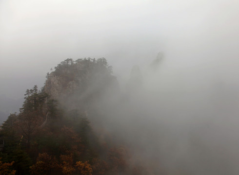 云遮霧罩的伏牛山老界嶺