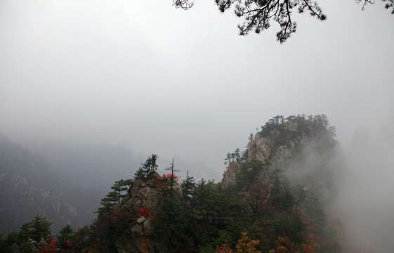 云霧飄渺的伏牛山老界嶺山峰