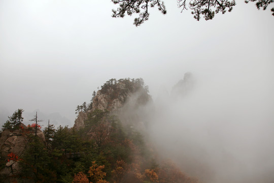 云霧飄渺的伏牛山老界嶺山峰