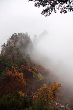 云飄霧繞的山峰秋景