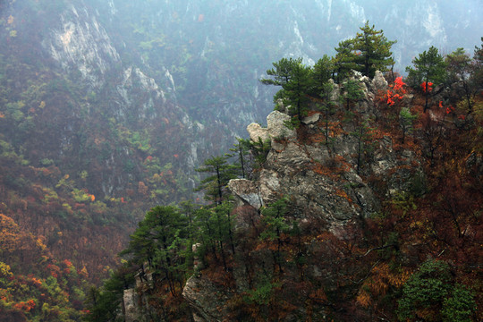 伏牛山老界嶺景區(qū)的風(fēng)景