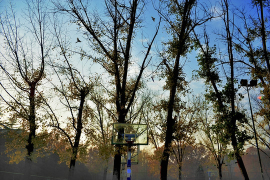 秀麗風(fēng)景（放大無(wú)噪）