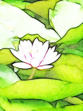 蓮花