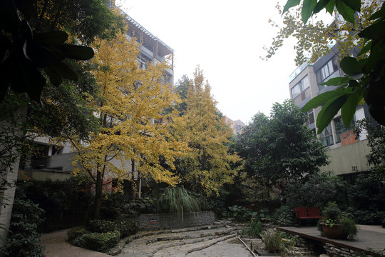 龍湖地產(chǎn)