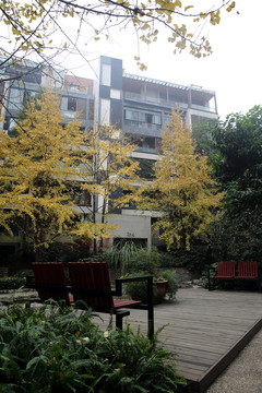 大城小院