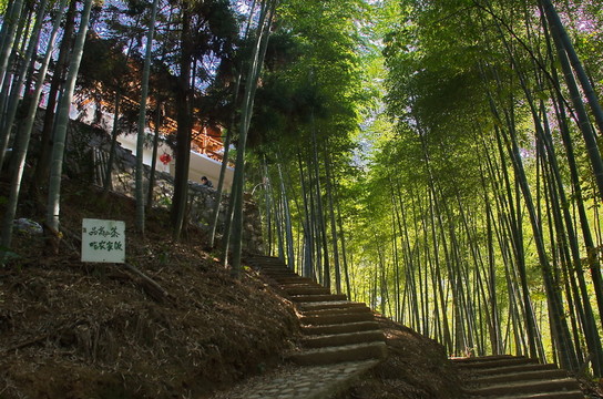 原生態(tài)竹園