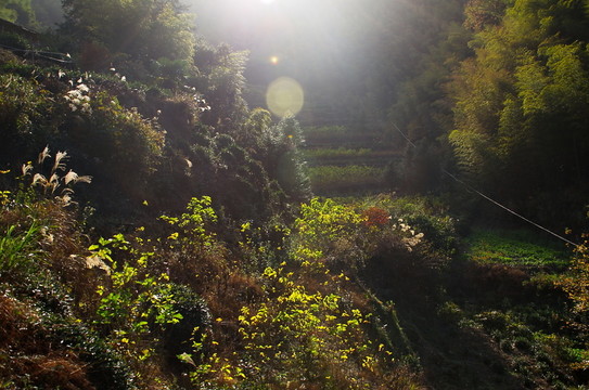 原生態(tài)山溝