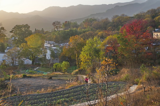 塔川原生態(tài)