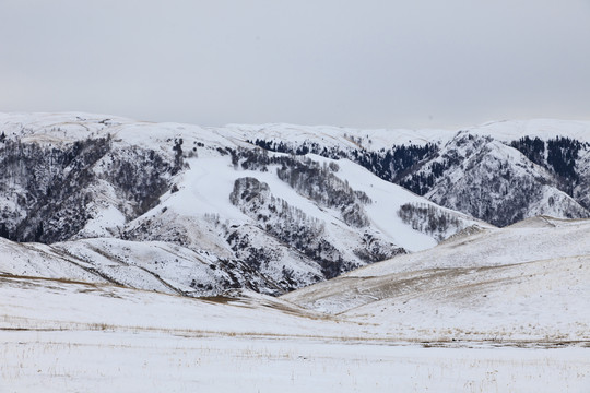 雪山