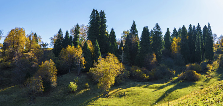 天山深處