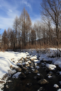 小溪 溫泉 不凍泉 山泉 森林