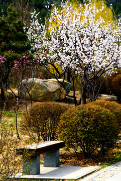 公園小景