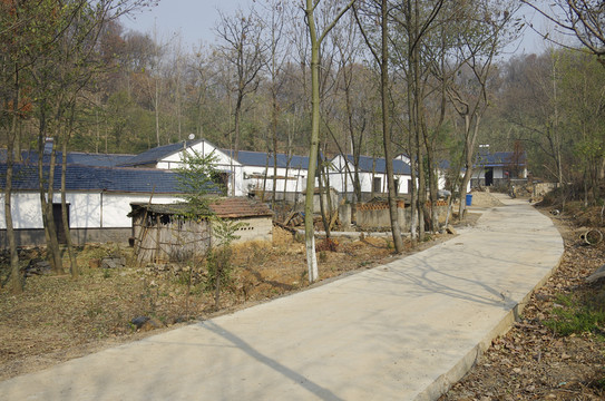 村道彎彎