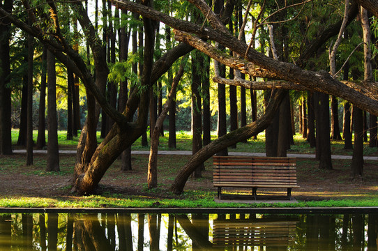 公園