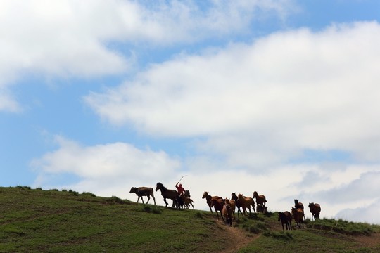 馬