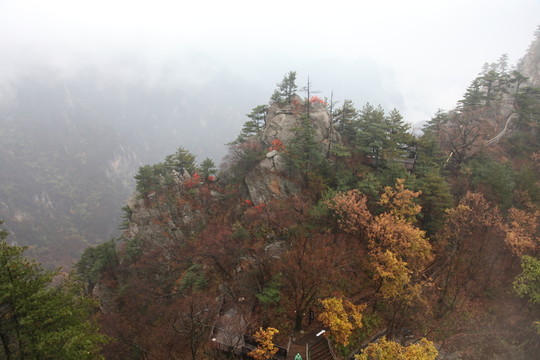 伏牛山老界嶺的奇石風(fēng)光