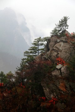 伏牛山老界嶺的奇石風(fēng)光