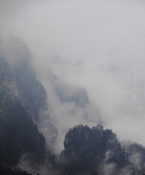 伏牛山老界嶺的山中云海