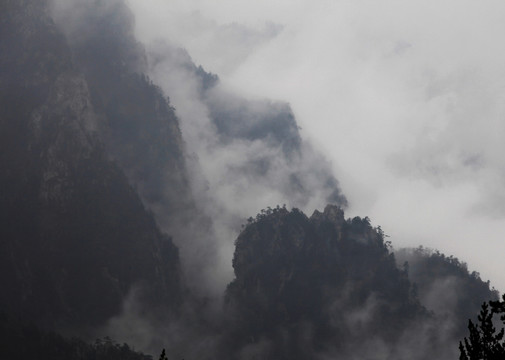 山中云海