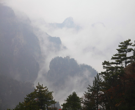 山中云海