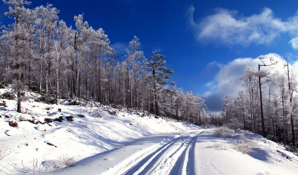 森林雪路