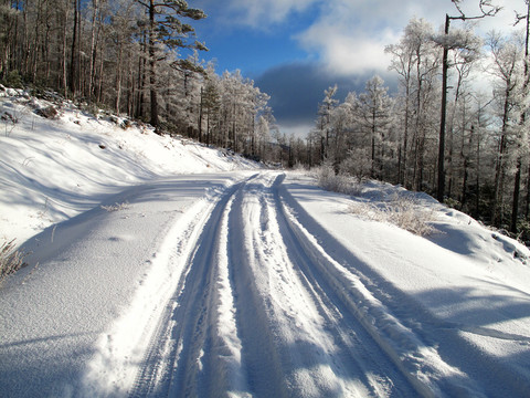 森林雪路