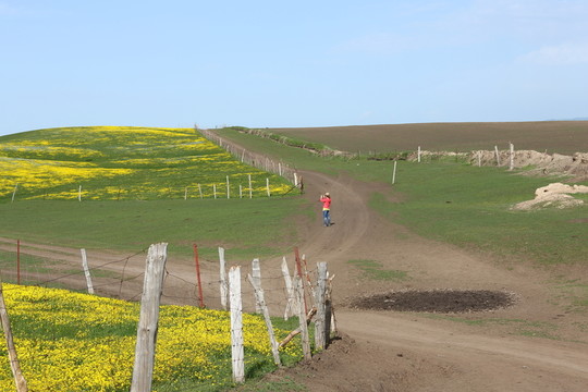 山花