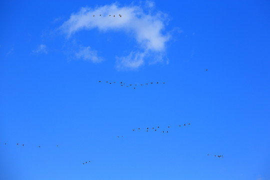 天空