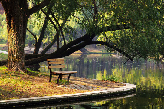 公園