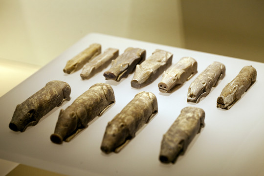 南京博物院 博物館 化石雕刻