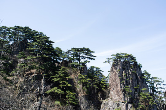 黃山風(fēng)光