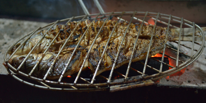 烤魚 燒烤 燒魚 魚 青魚
