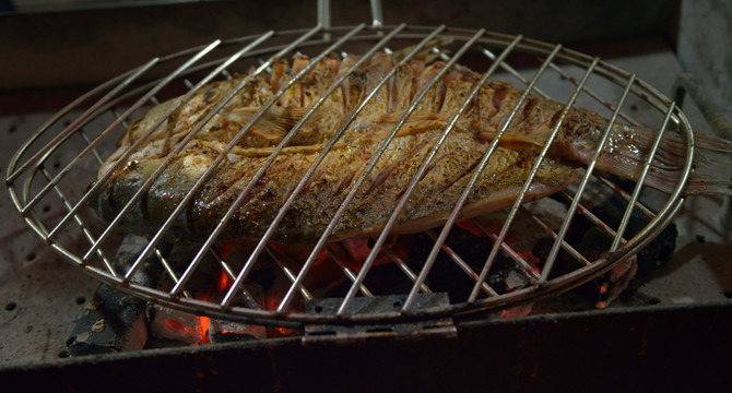 烤魚 燒烤