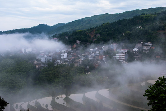 梯田
