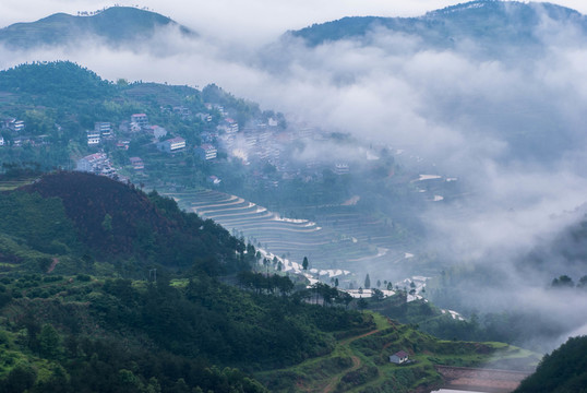 山 云霧 梯田