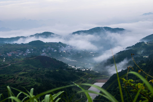 山 云霧 梯田