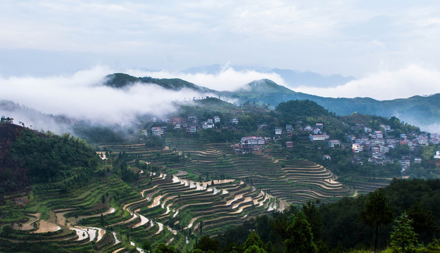 山 云霧