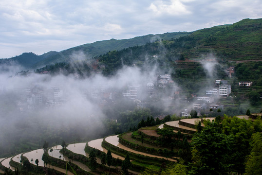 梯田