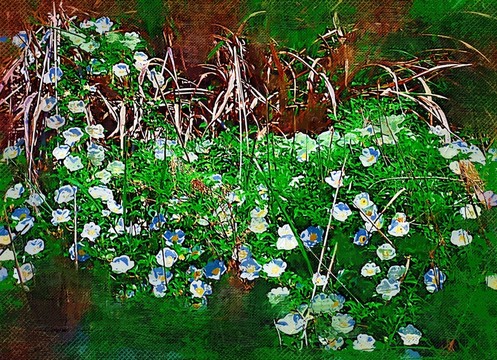 油畫 花