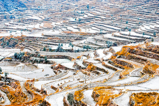 雪景 梯田