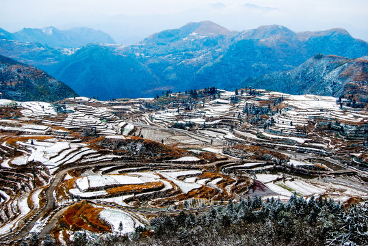 雪景 梯田