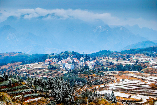 茗岙 雪景
