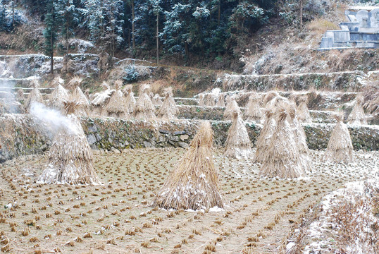 稻草堆