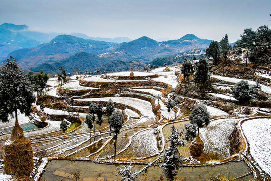茗岙 雪景