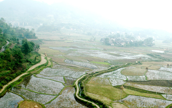 貴州農(nóng)田