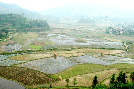 貴州農(nóng)田