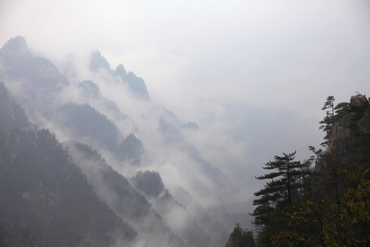 伏牛山老界嶺云海