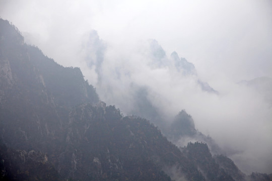 伏牛山老界嶺的山中云海
