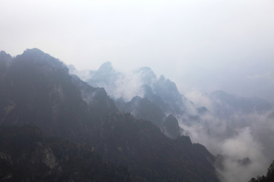 輕云曼霧的伏牛山老界嶺